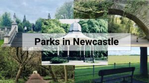 Best parks to visit in Newcastle