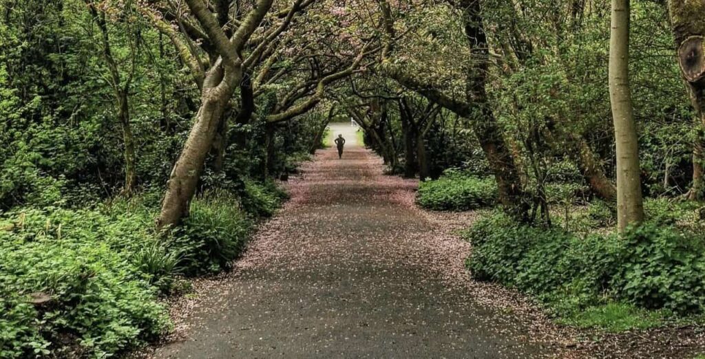 Heaton Park Newcastle