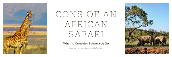 cons of an african safari