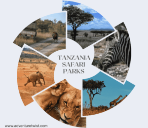 illustration of the best Tanzania Safari Parks