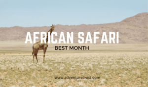 Best month to go on an African Safari