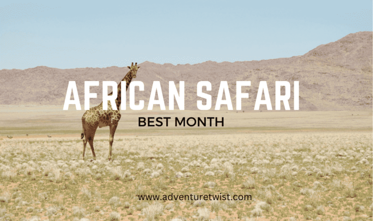 Best month to go on an African Safari