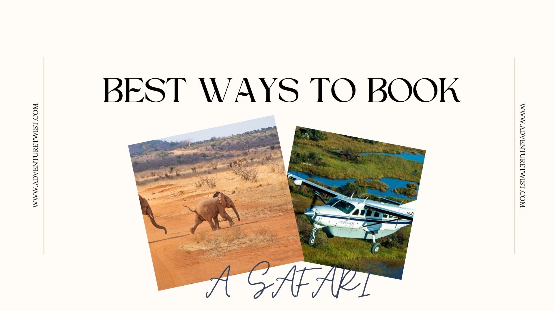 Image illustration of the best ways to book a safari