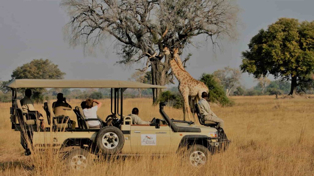 Open vehicle with tracker bushman