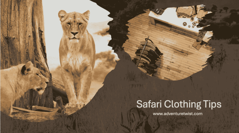 Picture of a Lion and Clothing tips for safari