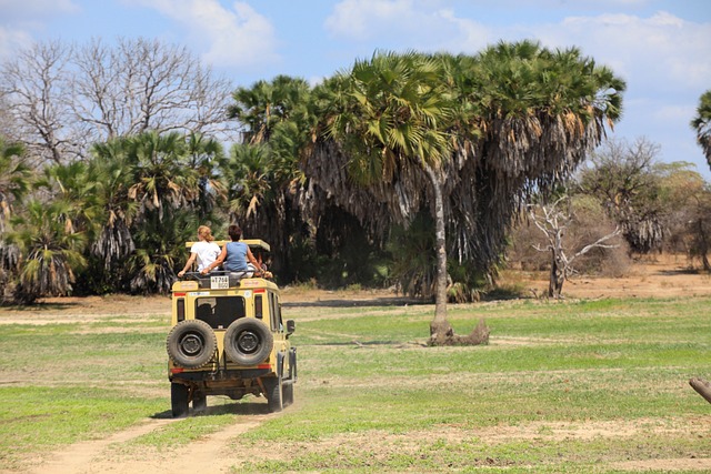 Safari, Automobile, Tanzania image