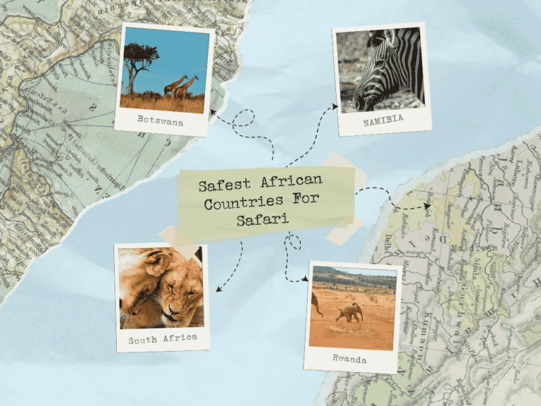 Illustration of the Safest African Countries For Safari