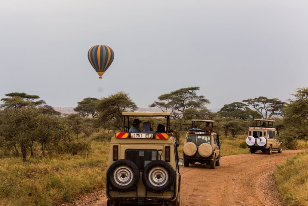 Tanzania safari