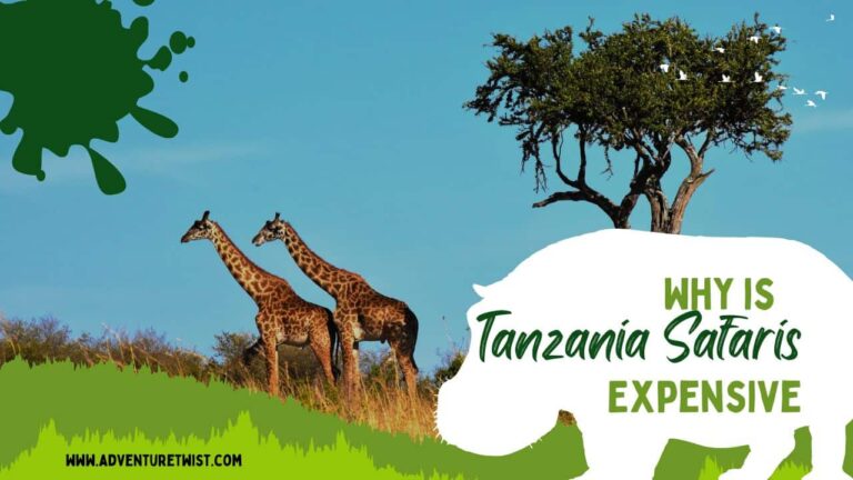 Tanzania Safaris