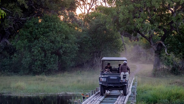 photo of a trip in Botswana Safari