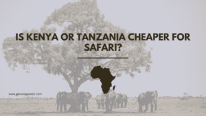 Feature image for Is Kenya or Tanzania Cheaper for Safari