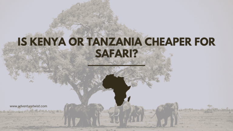 Feature image for Is Kenya or Tanzania Cheaper for Safari