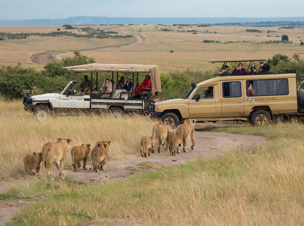 Park Fees and Conservation Costs In Kenya 