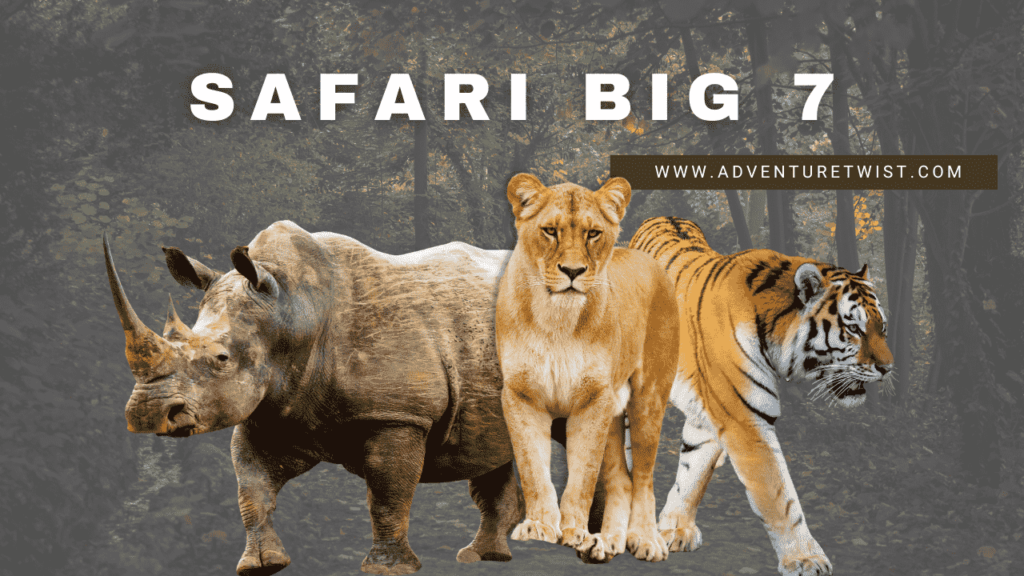 featured Image for the Safari big 7