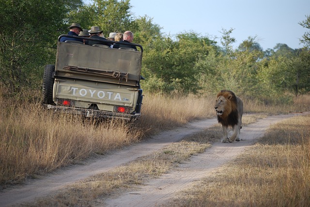 Botswana Safari