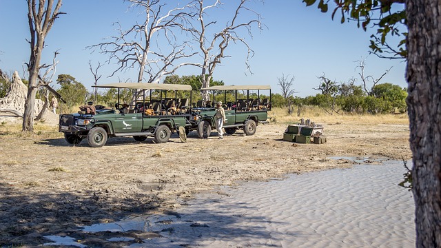 Safety tips in Botswana Safari